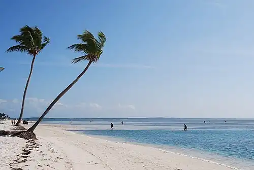 Пляж на Coco Cay