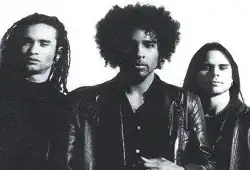 Адам Стэнджер, Уильям Дюваль, Биван Дэвис