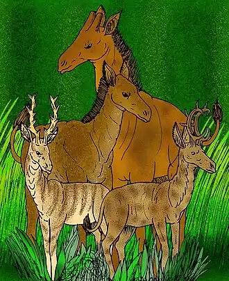 Вымершие копытные; Palaeotragus primeavus (в центре слева), P. germaini (в центре справа)