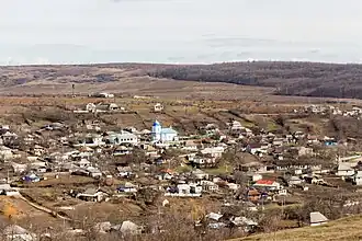 Вид на село и монастырь