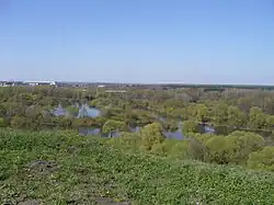 Вид на устье Болвы с Чашина Кургана. Вдали виден автомобильный мост через Болву.