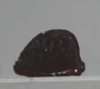 Медный фулус Гершаспа. Музей истории Азербайджана, Баку