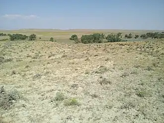 Крейзи-Вуман-Кроссинг[англ.], брод через реку Крейзи-Вуманс-Крик, в районе которого произошла стычка