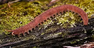 Реконструкция