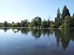 Озеро в саду