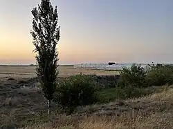 Теплицы на окраине села