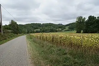 Мон-д’Астарак(дорога D228)