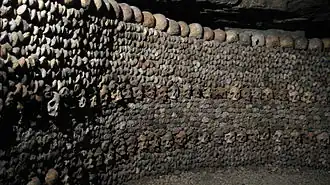 Стена, построенная из костей и черепов