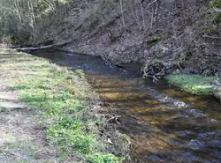 Река около крепости Копорье