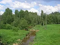 Река у села Дарна