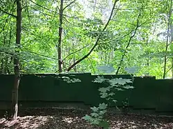  Забор дачи.