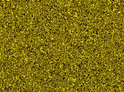 Через 10 поколений