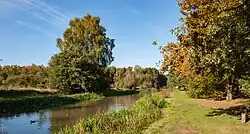 Среднее течение реки Клейне-Нете в Херенталсе осенью 2018 года