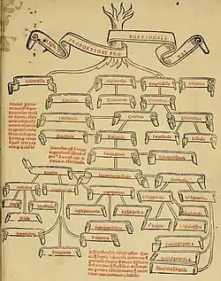 Дерево необходимых пропорциональностей