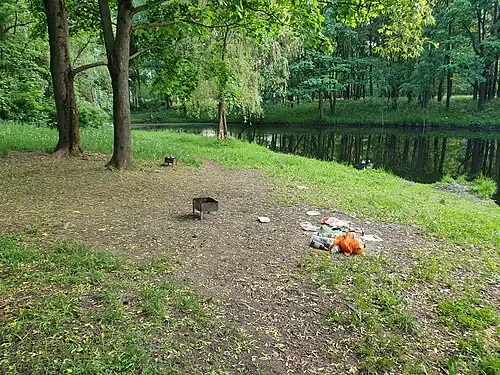 Типичная картина в парке летом (около большого верхнего пруда, июнь 2024 г.).