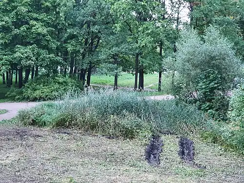 Следы работы тяжёлой техники в нижней части парка (сентябрь 2024 г.).