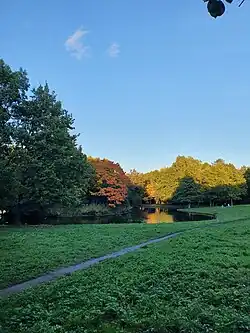 Вид на нижний пруд с островом (октябрь 2024 г.).