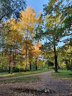 Вид на аллею, проходящую вдоль большого верхнего пруда (октябрь 2024 г.).