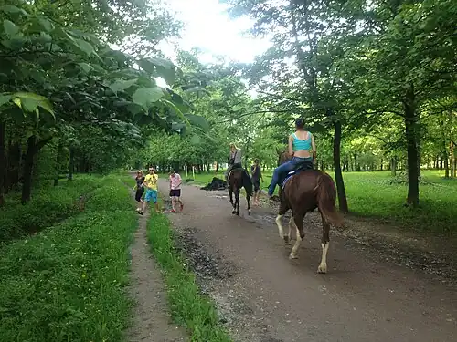 Юго-западный вход в Демидовский парк вдоль ныне упразденной Георгиевской улицы (май 2013 г.). Уборка в парке происходила вручную, видно свеже-высаженные деревья и землю специально привезённую для них. Гравием в 2013 г. дорожки не посыпали.