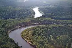 Низовья Демьянки с высоты 400 метров