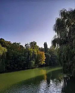 Дендропарк