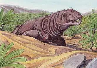 Deuterosaurus biarmicus