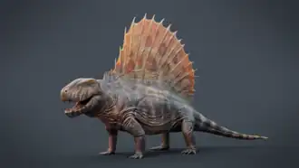 Диметродон вида Dimetrodon grandis