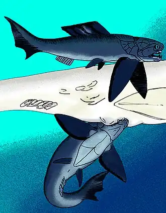 Реконструкция