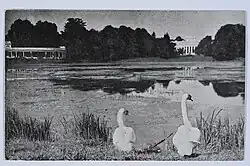 Вид у пруда в Добасна