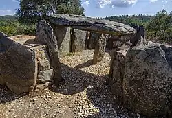 Саламеа-ла-Реаль