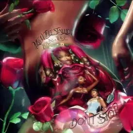 Обложка сингла Megan Thee Stallion при участии Янг Тага «Don’t Stop» (2020)