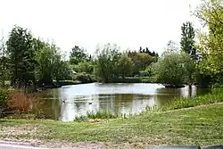 Деревенский пруд