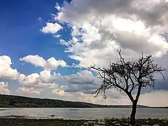 Вид на озеро в марте 2017 года