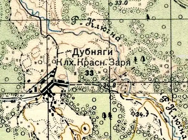 План деревни Дубняги. 1937 год