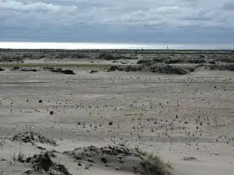 Дюны в устье реки Варзуга