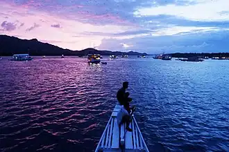 Летучие мыши и закат на острове Калонг