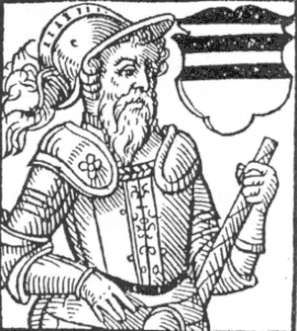 Гинек из Подебрад