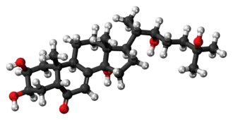Изображение молекулярной модели