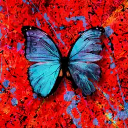 Обложка песни Эд Ширан «Visiting Hours»