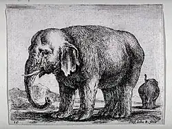 Слон. Из серии «Различные животные». 1641. Резцовая гравюра на меди