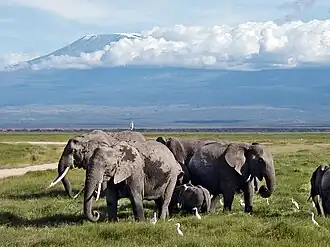 Панорама парка