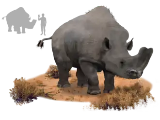 Реконструкция Embolotherium andrewsi