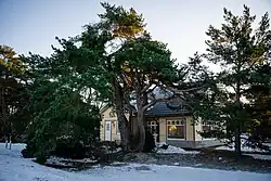 Библиотека Эммасте