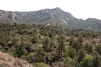 Вид на Эмори-Пик из котловины Чисос