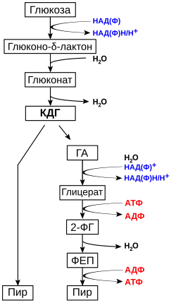 Путь Энтнера — Дудорова26 ноября 2015