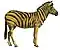 Equus quagga