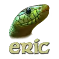 Логотип программы Eric