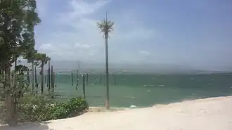 Вид на озеро с южного берега летом 2016 года