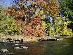 В районе города Уэтампка[англ.], Алабама. (10 ноября 2007 г.)
