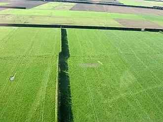 Аэрофотоснимок разлома Гриндейл. Живая изгородь и следы тракторных шин на пастбищах смещены по горизонтали примерно на 3,5 метра. Земля на переднем плане сдвинулась влево (на запад), земля на дальней стороне разлома сдвинулась вправо (на восток)